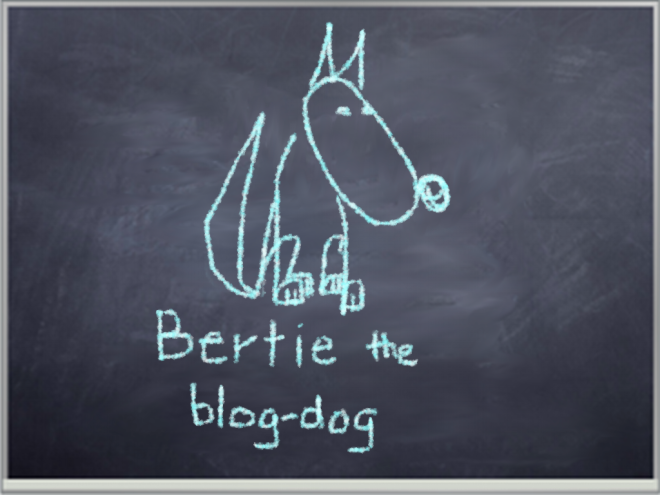 Bertie the blog-dog