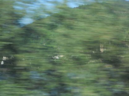 Intervening objects - Trees. Achieved by shooting out of a train window. A tantalizing glimpse of the view we cannot see. The green stripes throw the fleetingness of the moment into relief. The castle’s essential quality – immobility – is beautifully captured.